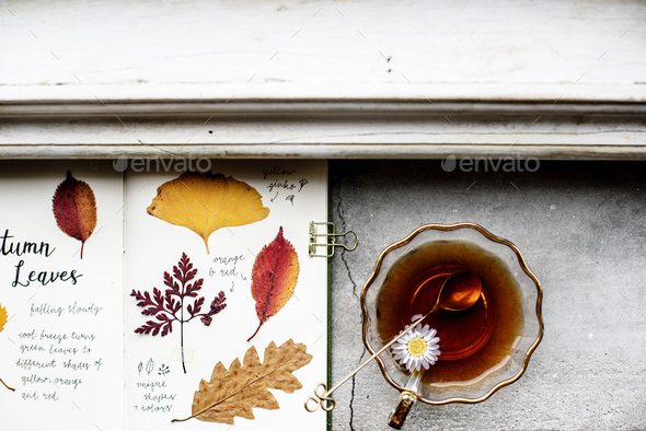 Aerial view of pressed leaves collection book with tea cup