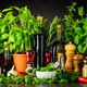 Still Life with Fresh Cooking Ingredients and Herbs - PhotoDune Item for Sale