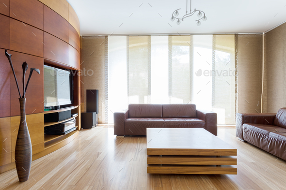 Modern spacious room with leather sofas