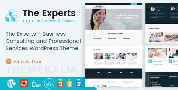 The Experts - Business Consulting and Professional Services WordPress Theme - Business Corporate