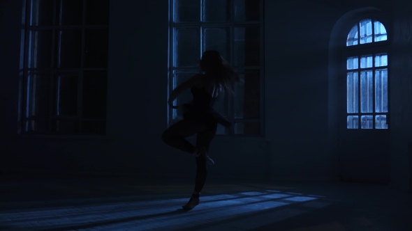 Pirouettes Performed By Professional Dancer Girl in the Moonlight, Silhouette alt