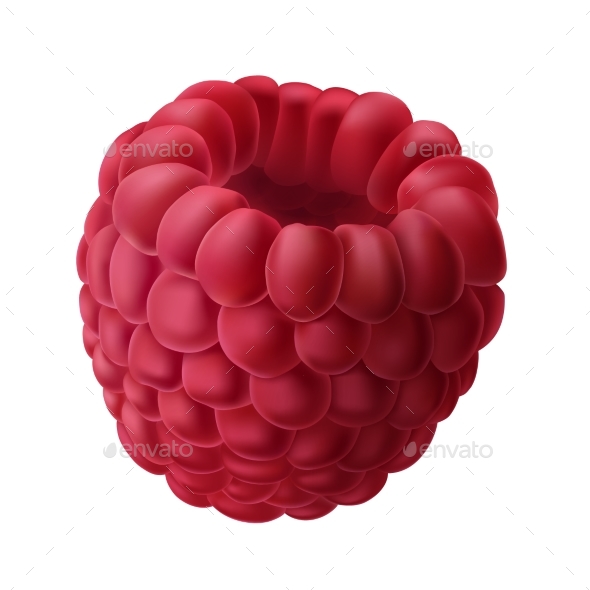 Vector Illustration of a Raspberry Isolated - Food Objects