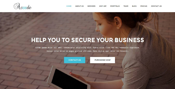Accede - Business - ThemeForest 20041146
