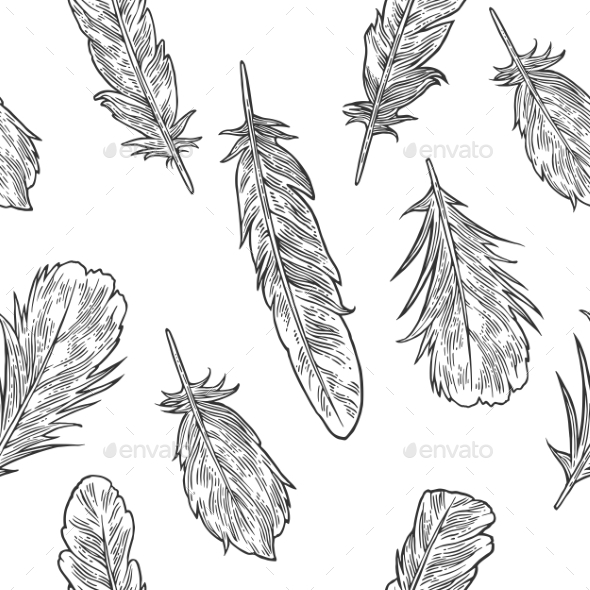 Vintage Black Vector Engraving of Feathers - Animals Characters