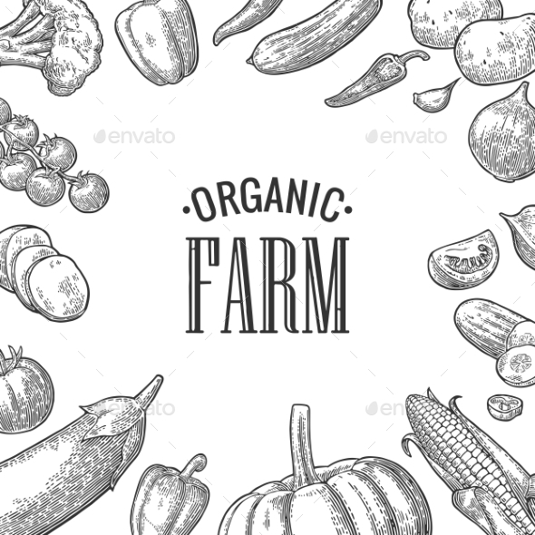 Set Vegetables and Organic Farm Lettering - Food Objects
