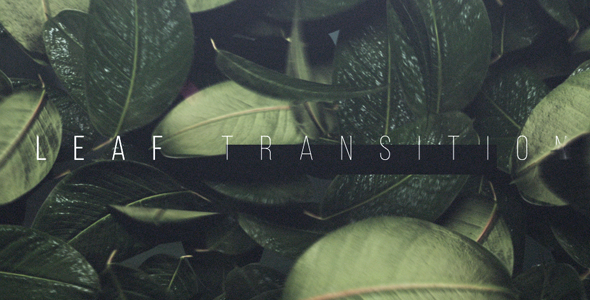 Leaf Transition - VideoHive 20108312