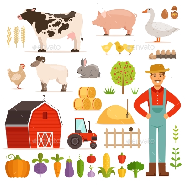 Different Farm Elements. Vegetables, Transport - Miscellaneous Vectors