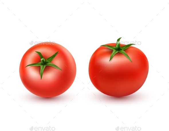 Vector Illustration of a Realistic Style Tomatoes - Food Objects