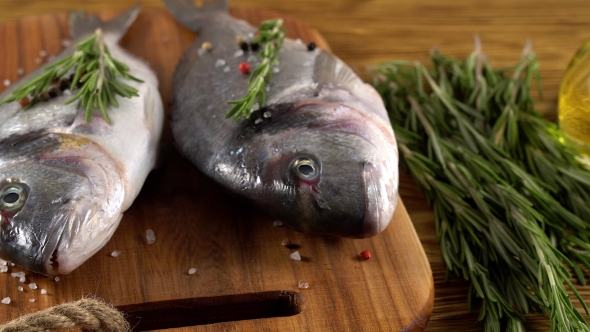 Fresh Raw Dorado and on Table