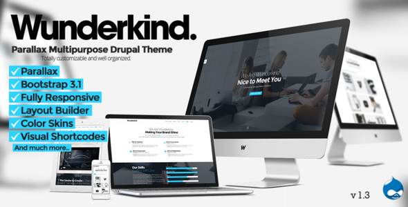 Wunderkind - One Page Parallax Drupal 7 Theme - Business Corporate