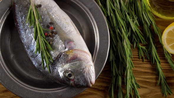 Fresh Raw Dorado and on Table