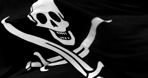 Pirate Flag in the Wind alt