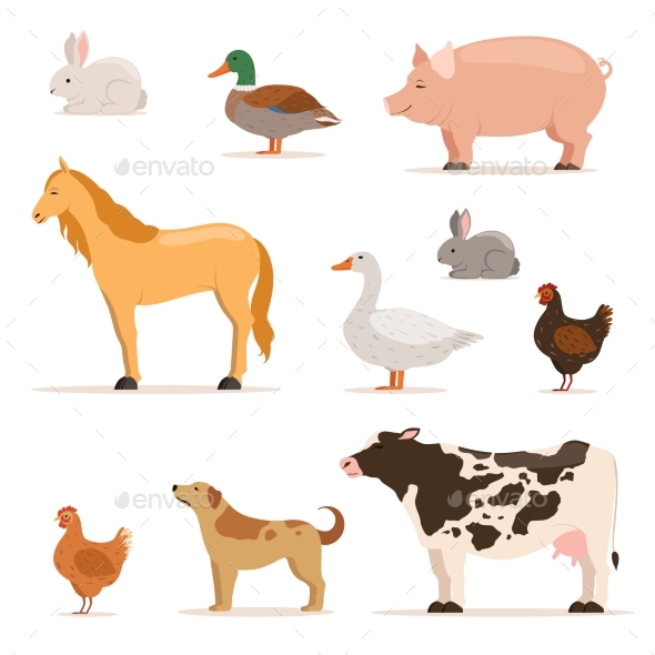 Different Domestic Animals on Farm. - Animals Characters