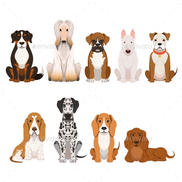 Different Breeds of Dog. Group of Domestic Animals - Animals Characters
