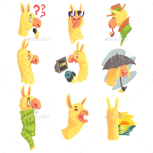 Alpaca Characters Posing in Different Situations - Animals Characters