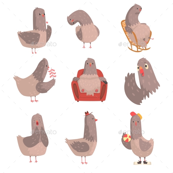Cartoon Bird Set - Animals Characters