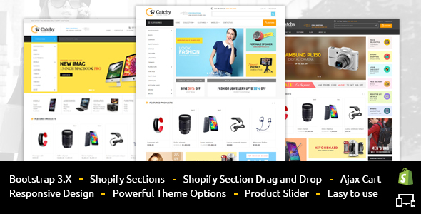 Catchy - Sectioned - ThemeForest 20166184