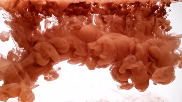 Swirls of Brown Paint in Water