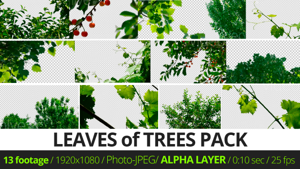 Leaves of Trees Pack