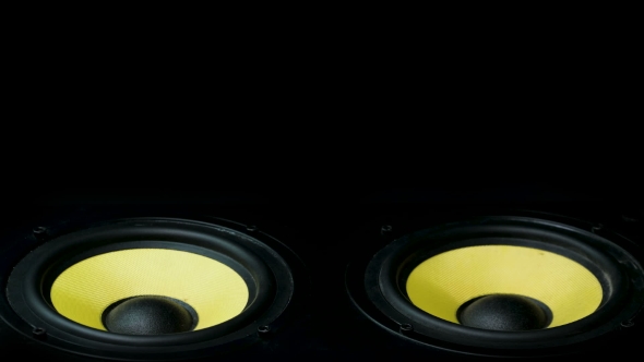 Moving Professional Music Studio Monitor. Very Powerful Two Speakers