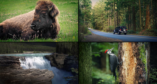 North American Outdoors