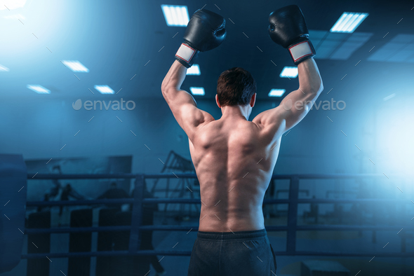 Boxer in gloves hands up on the ring back view Stock Photo by