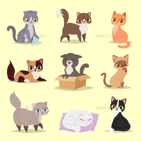 Cats Kitty Pet Adorable Character - Animals Characters