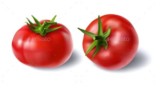 Vector Illustration of a Realistic Style Set - Food Objects