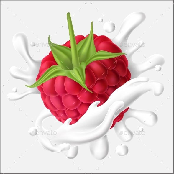 Vector Illustration of a Juicy Raspberry with Stem - Food Objects