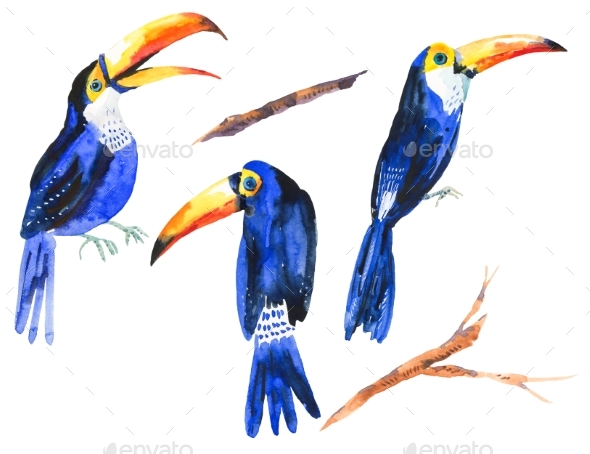Watercolor Set of Tropical Birds Toucans - Animals Illustrations