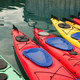 Kayaks in Multiple Color Float Marine Harbor