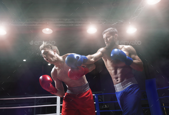 Fighting - Stock Photo - Images