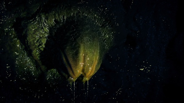 Torch Lights Up Alien Egg Above Dripping Slime, Stock Footage | VideoHive