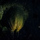 Torch Lights Up Alien Egg Above Dripping Slime - VideoHive Item for Sale
