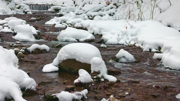 A Mountain Stream Flows Among Stones and Trees in the Carpathian Mountains alt