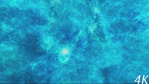 A Flight Through a Mesmerizing Cosmic Nebula