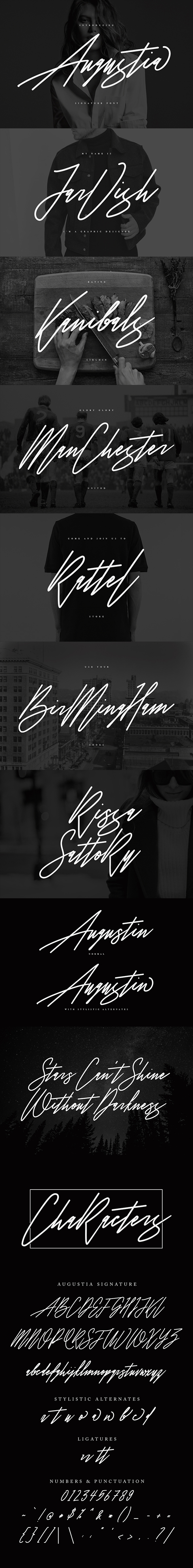 Augustia Signature Typeface - Calligraphy Script