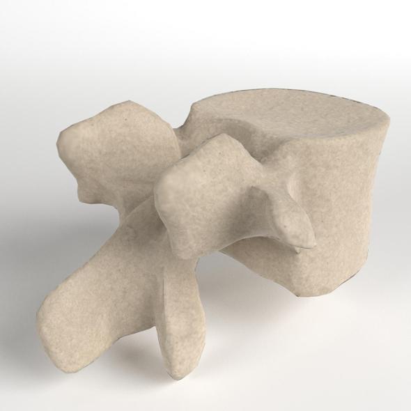Lumbar Vertebra - 3DOcean Item for Sale