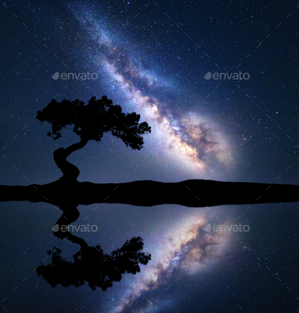 Milky Way with alone crooked tree on the hill - Stock Photo - Images
