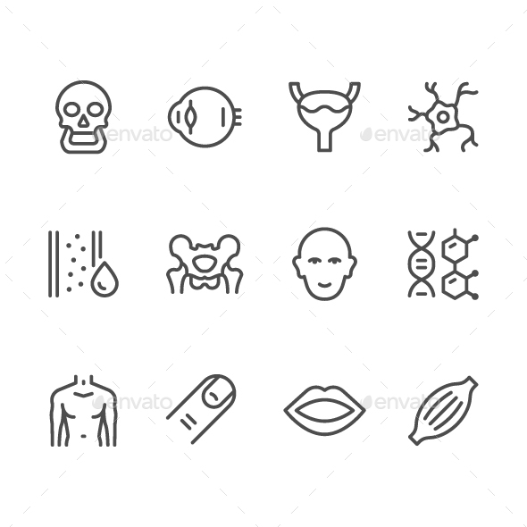 Set Line Icons of Human Organs - Abstract Icons