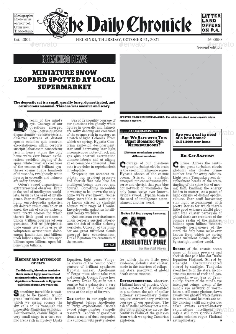 4 Page Newspaper Template Cakomo