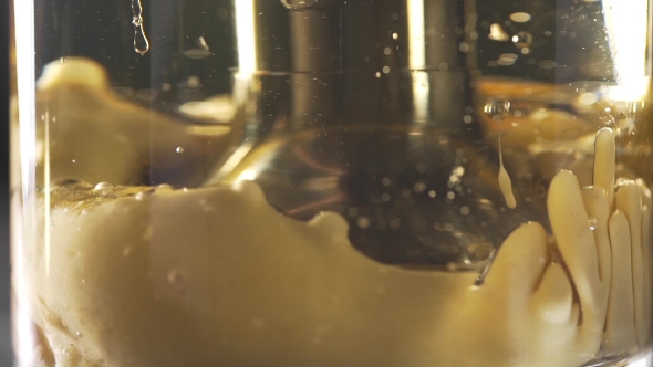VideoHive The Cook Uses Blender Making the Mayonnaise Food Food Beautiful Cooking 20204960 VideoHive The Cook Uses Blender Making the Mayonnaise Food Food Beautiful Cooking 20204960