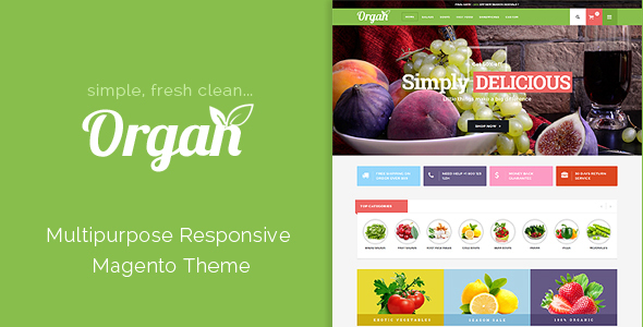 ThemeForest Organ Organic Store & Flower Shop Responsive Magento Theme 20206483 ThemeForest Organ Organic Store & Flower Shop Responsive Magento Theme 20206483