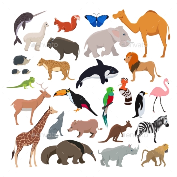 Big Vector Set with Wild Animals Isolate - Animals Characters