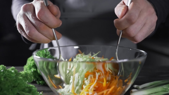 VideoHive The Cook Makes Vegetable Salad with Cabbage and Carrot Vegetarian Meal Fresh Food and Vitamins 20209818 VideoHive The Cook Makes Vegetable Salad with Cabbage and Carrot Vegetarian Meal Fresh Food and Vitamins 20209818