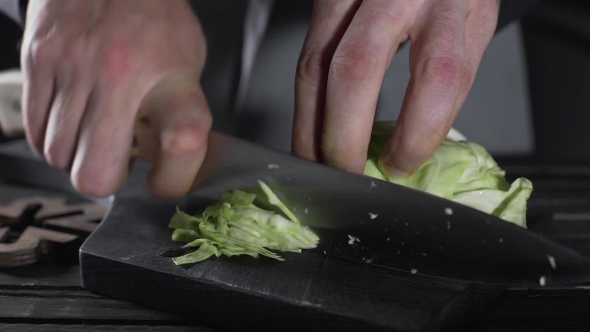 VideoHive Chef Shreds Cabbage for Vegetable Salad Vegetarian Meal Vegan Food Cooking Food Vitamins and 20209873 VideoHive Chef Shreds Cabbage for Vegetable Salad Vegetarian Meal Vegan Food Cooking Food Vitamins and 20209873