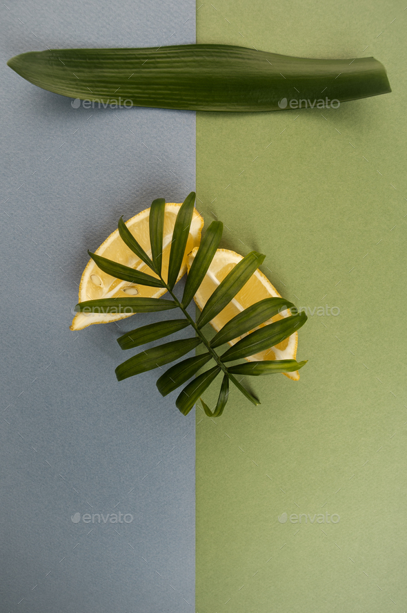 Aesthetic composition with two slices of limonoma and green leav Stock Photo by Olesya22