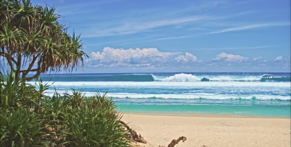 Ocean Beach With Green Trees 2 alt