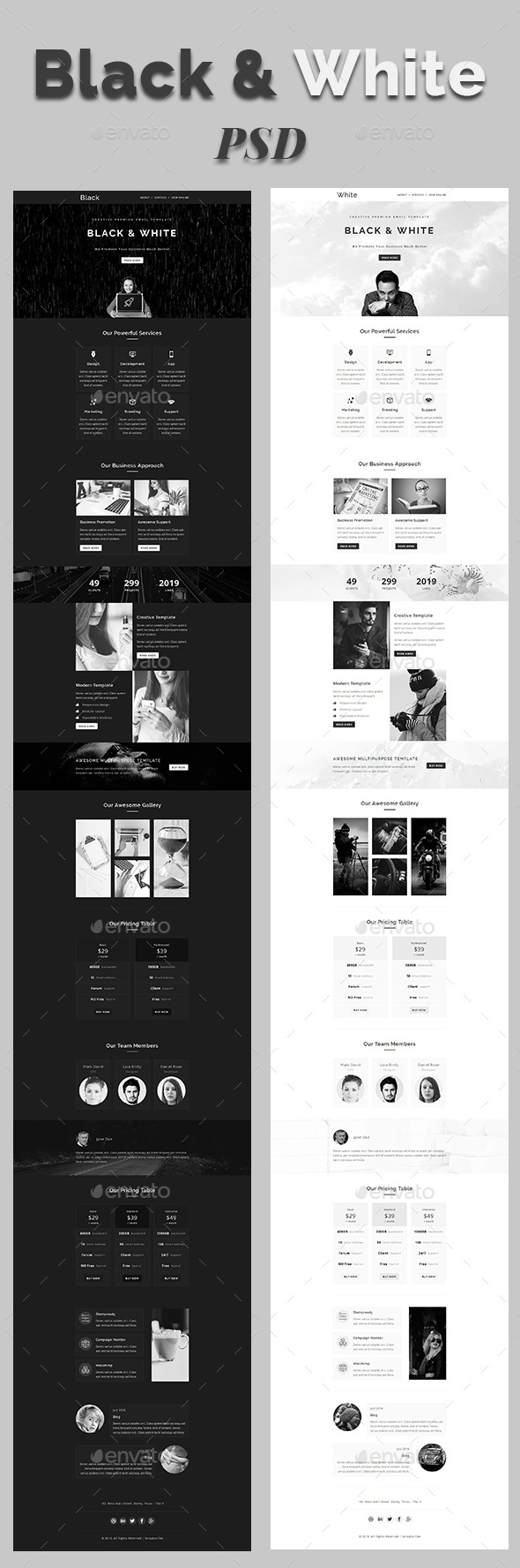 Black & White - Email PSD Template - E-newsletters Web Elements