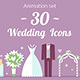 Set of 30 Wedding Icons - VideoHive Item for Sale